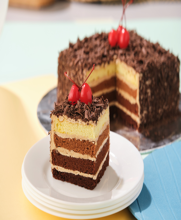 Read more about the article Vanilla Mocha Cake